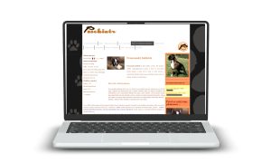 Webové stránky zdarma – které vybrat?